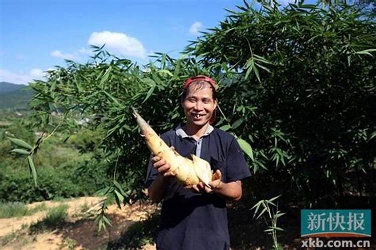 怎么样才能转好运发大财