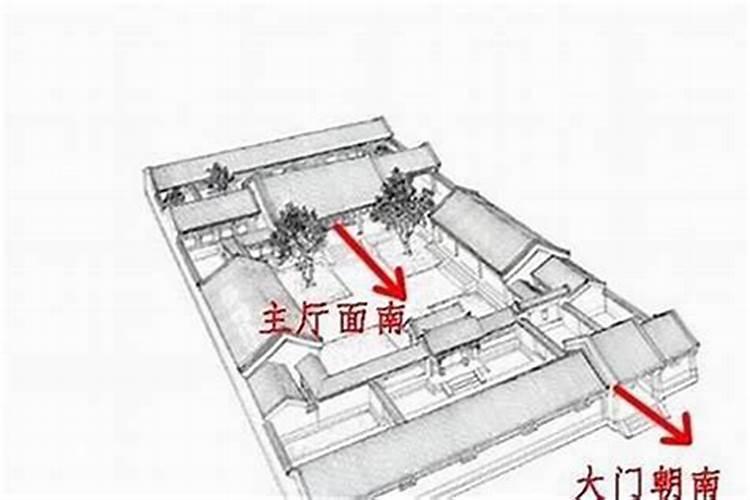 在家里养什么鱼招财转运最好 家庭养什么鱼招财转运最好