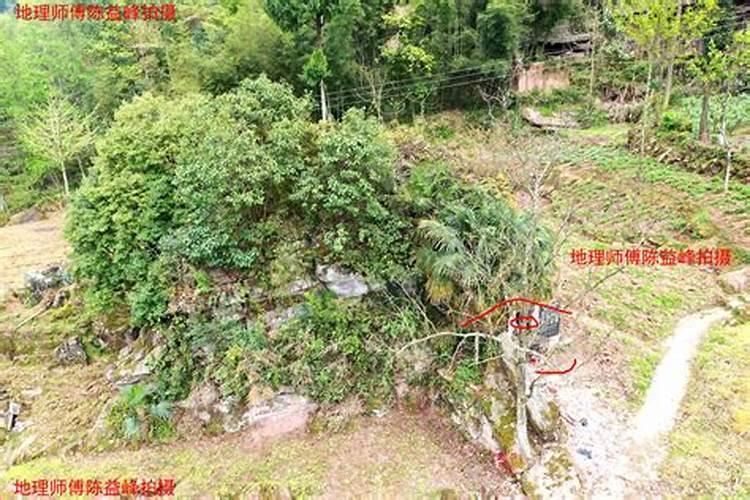 地下室用途有哪些？原来有这些不为人知的妙用