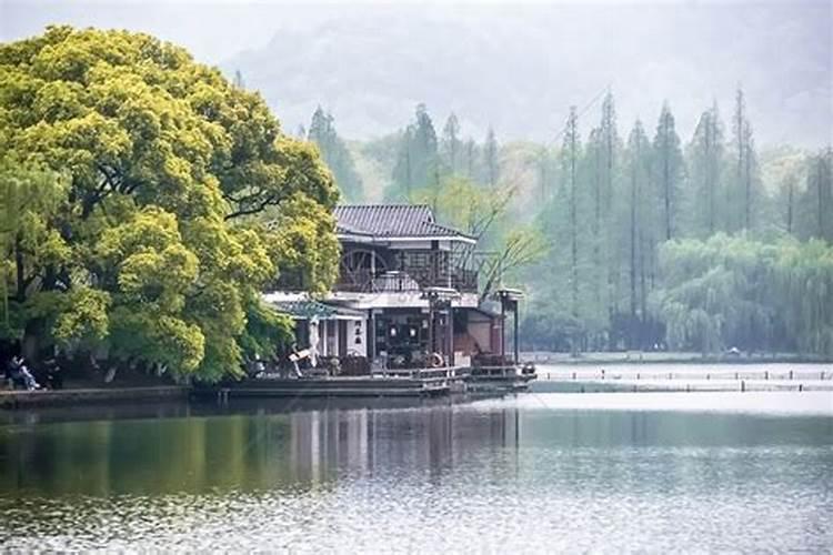 客厅转运招财风水局布置？