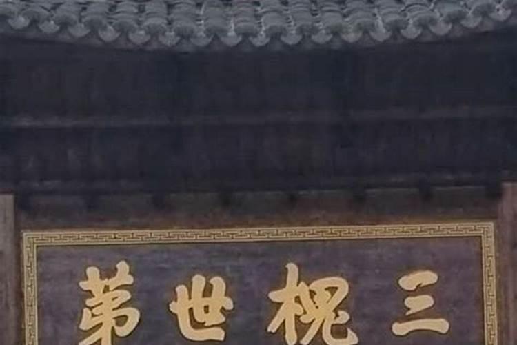 风水先生指什么生肖和动物