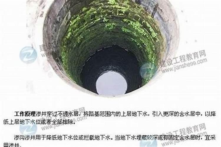 谁比较清楚林氏族谱啊？