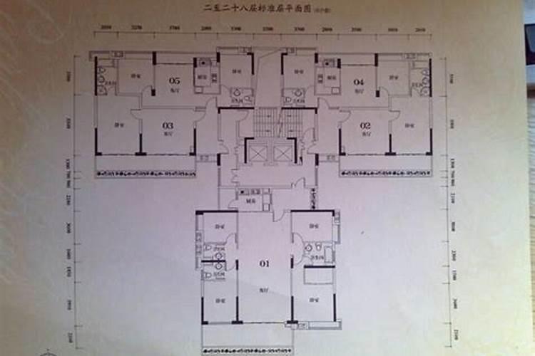 两梯三户夹在中间好么？在风水上讲好么？