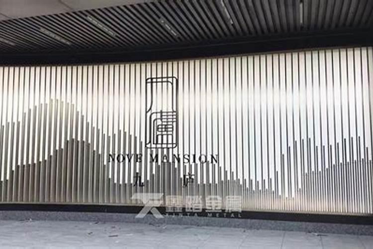 鱼缸底部养什么鱼好
