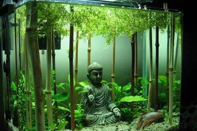 家里养鱼什么位置最好风水最旺