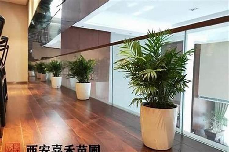 孙膑的资料