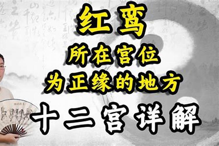 田宅宫有红鸾是什么意思