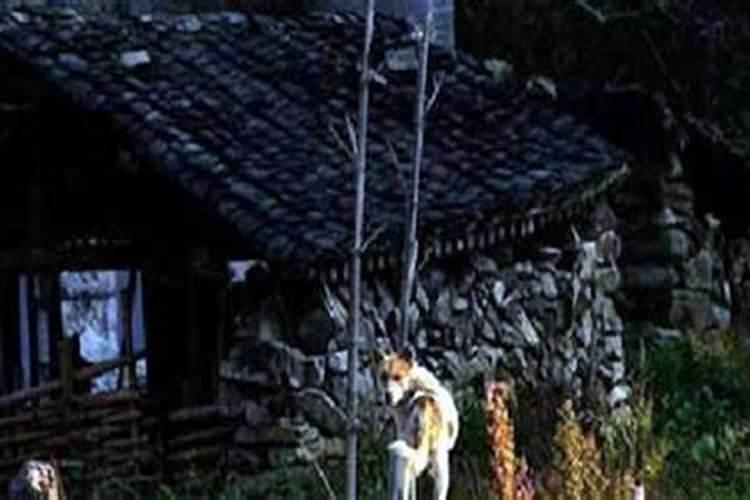 如何正确的布局厨房和餐厅风水