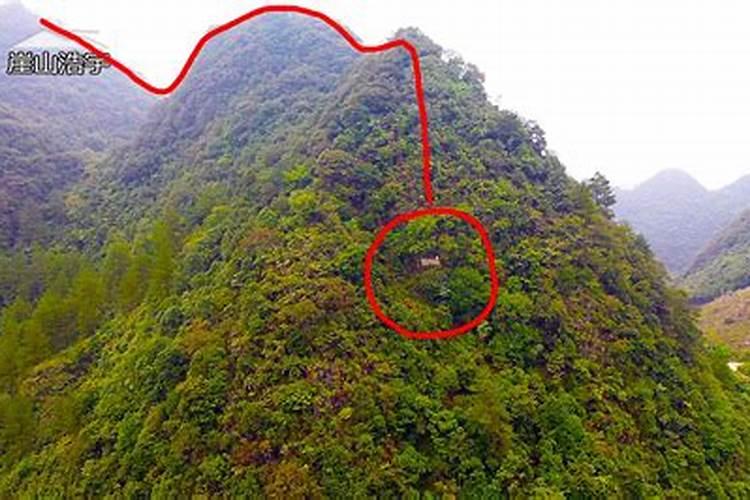 中国姓〈应〉主要分布在哪些地方？