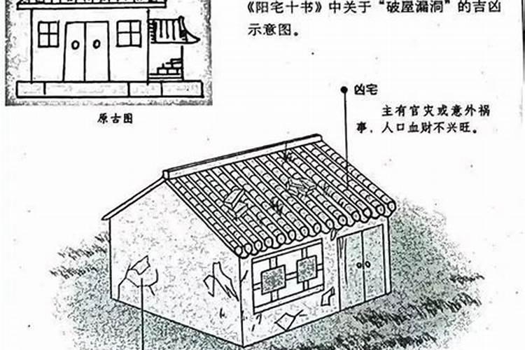 天喜和红鸾哪个是真爱