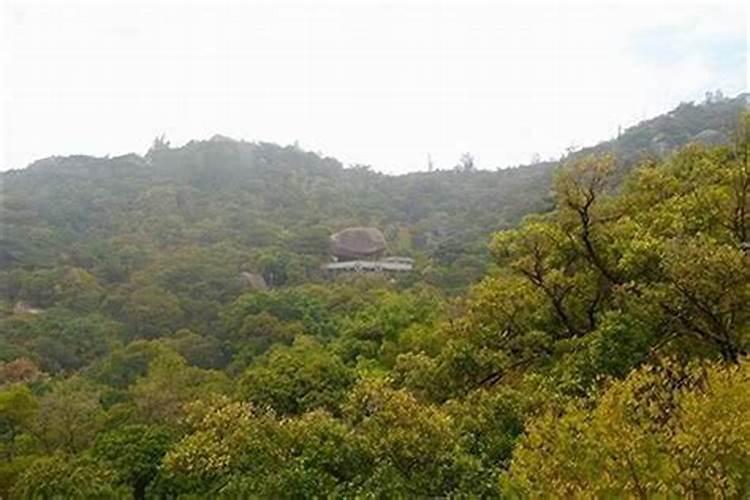 靠山的房风水好吗 高层住几楼好？