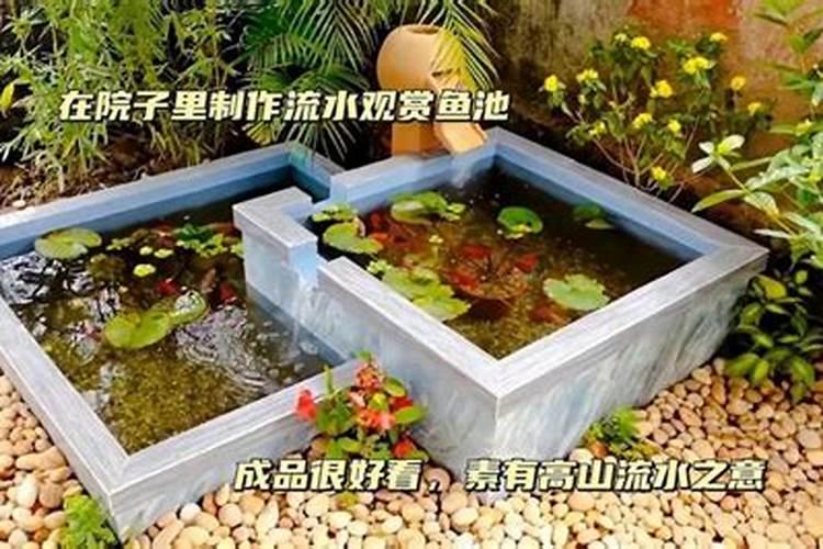 庭院鱼池的风水有什么讲究