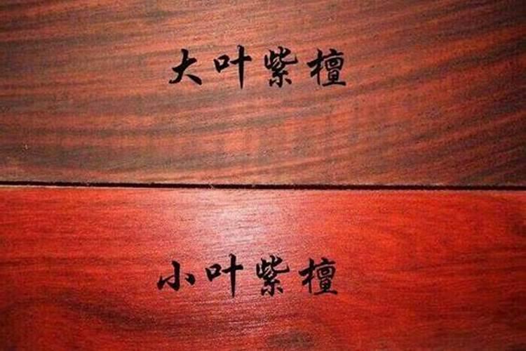 郑之侨相关传说