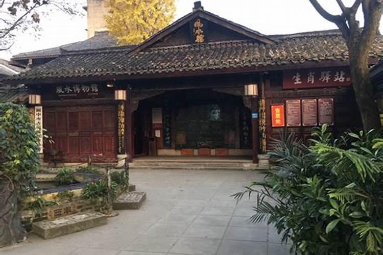 七彩神仙鱼的风水学应用七彩神仙鱼有什么风水学应用