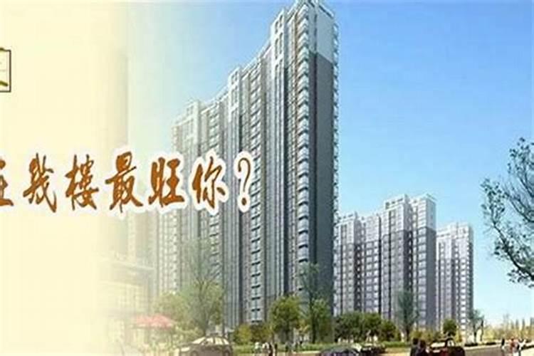 农村门前适合种什么植物
