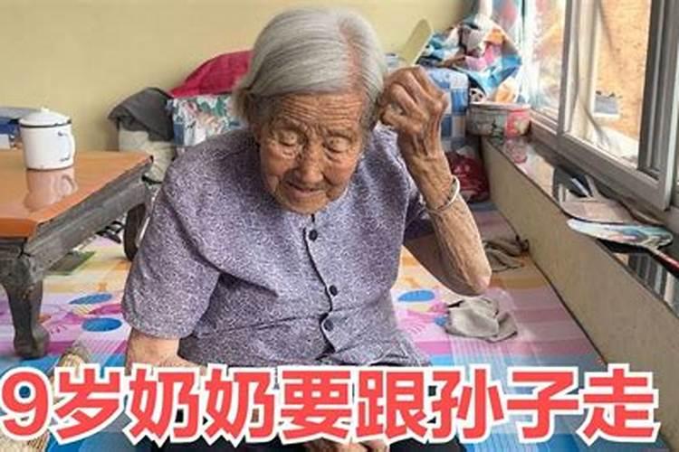 办公室养乌龟的风水宜忌