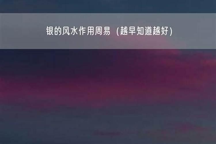 邵保国基本简介