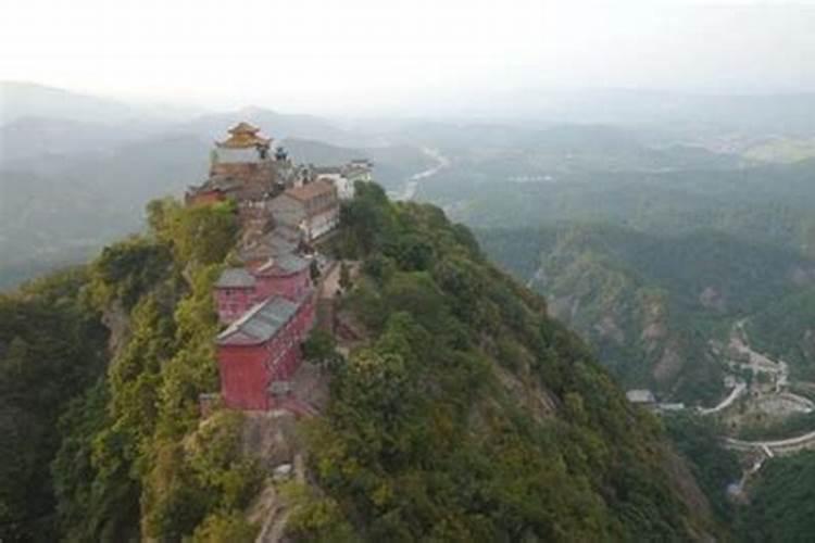 门前可以种柚子树吗