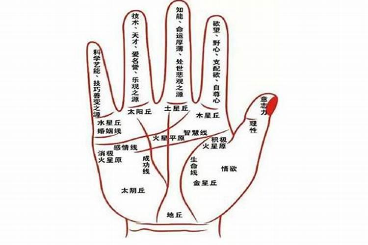 寻龙诀八句口诀是什么？