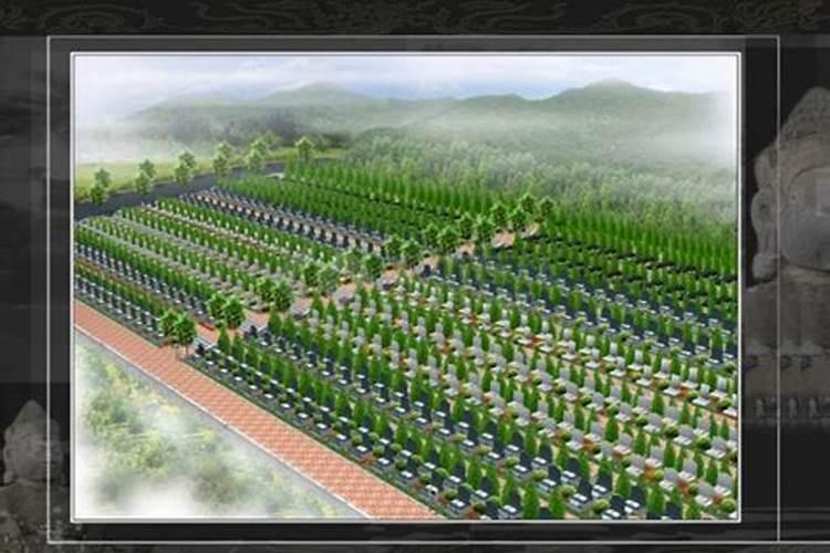 烟台这么多陵园,哪个的风水评价最好？
