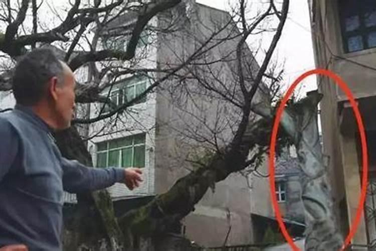 工作中会说会啦的人不干正事的人叫什么？