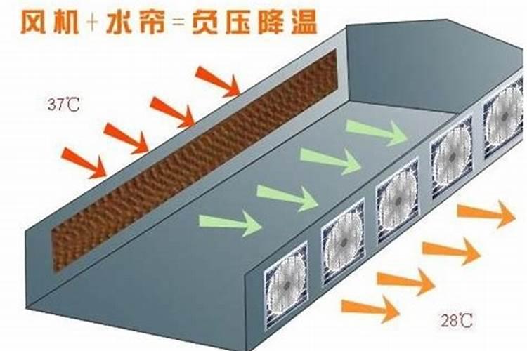 水仙茶怎么制作