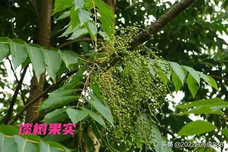 卧室床头挂什么最好最旺
