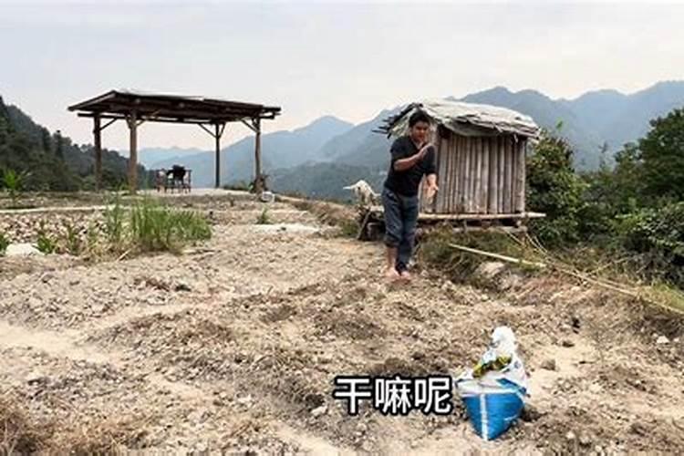结婚入洞房有什么讲究 结婚入洞房玩法