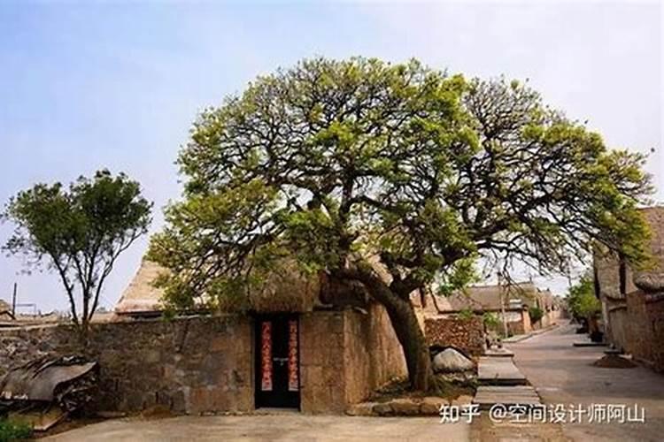 办公桌坐东朝西好不好