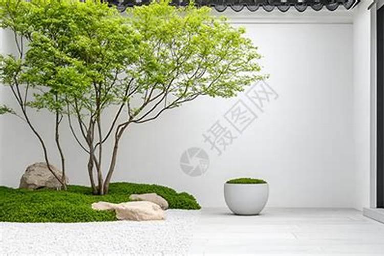 院子风水怎样布局才聚财？院子种什么树最好