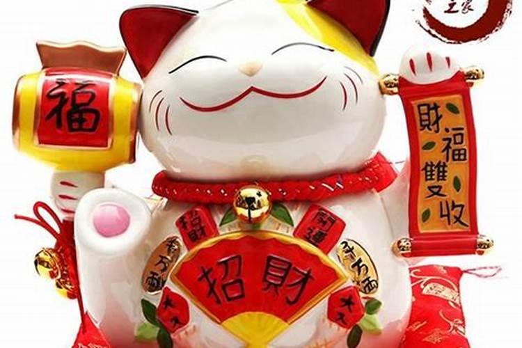 猫咪身上有这些特征,能给家里招财有好运