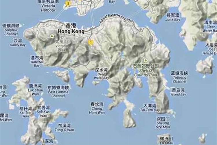 进门见什么花最好风水、最旺入门玄关植物