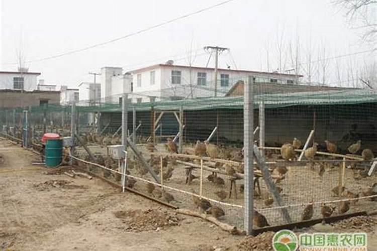 住房吊顶有什么风水禁忌