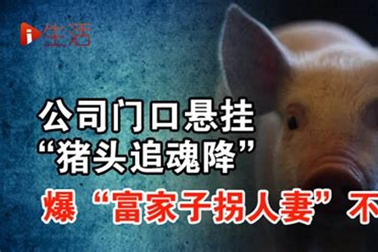 请教各位猪摆件风水有什么讲究