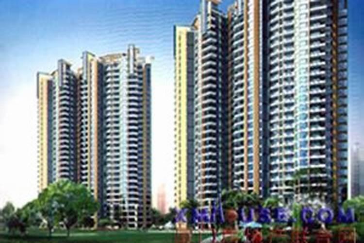 福建哪个风水师厉害？