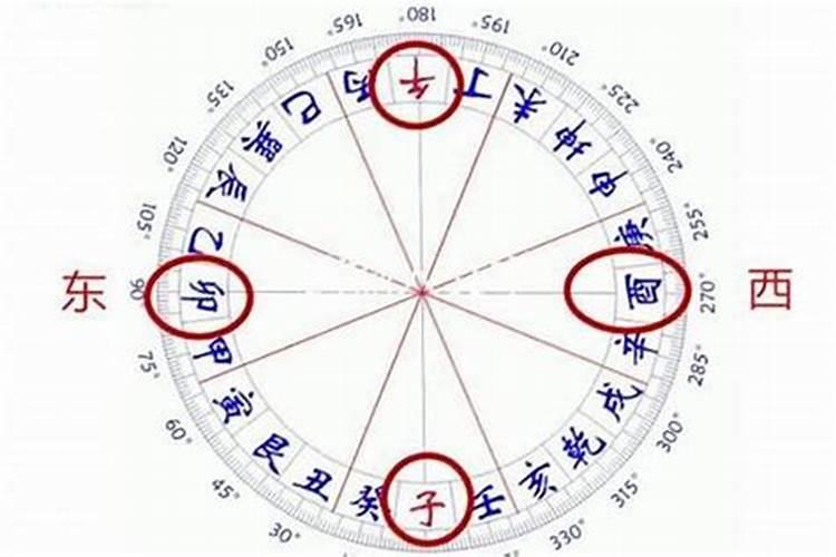 老家农村盖房子了,打算在院子里种棵树,有什么推荐吗？