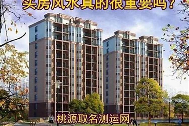 谭家谱全部的字辈