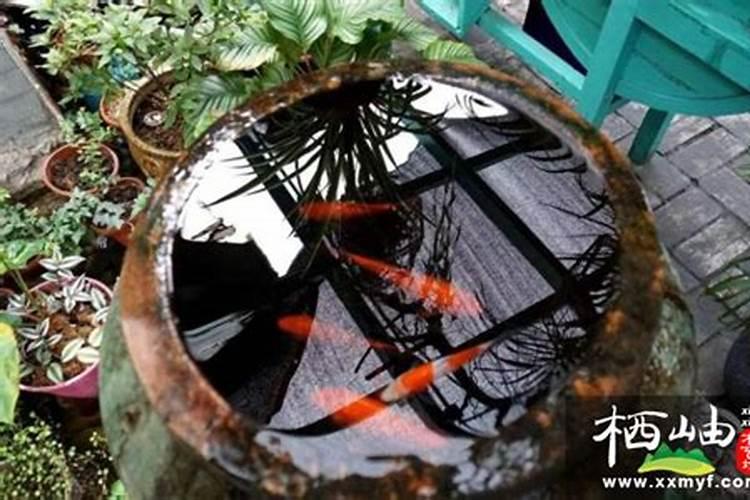老式水缸放哪里对风水好