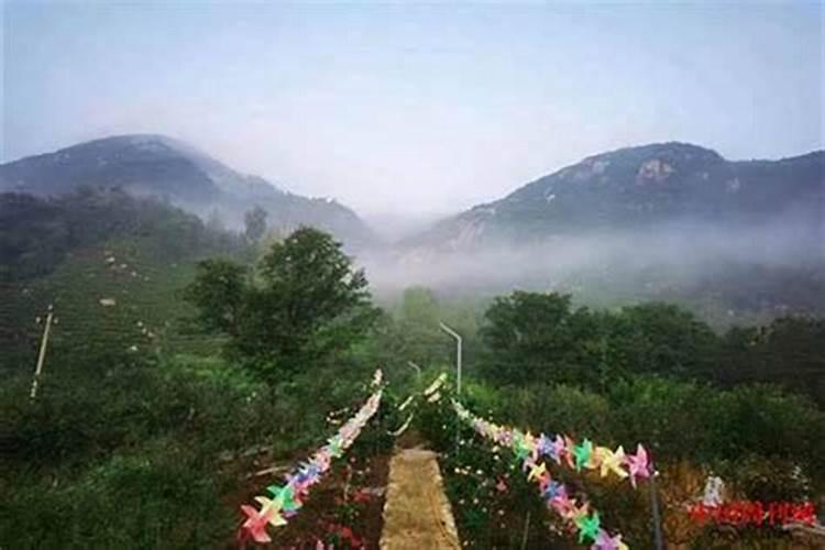 罗盘怎么看坟地风水,风水罗盘二十四山详解