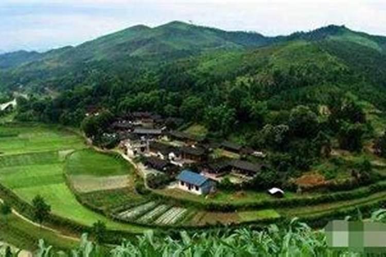 张其龙河南张其龙简介