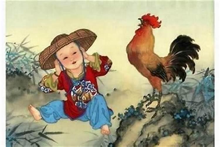 全能老爸设计透明屋顶鱼池,梦幻阳台满足全家需求,阳台养鱼需要注意什 ...