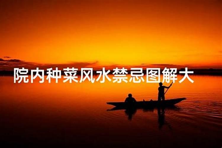 大海水命家居鱼缸的摆放