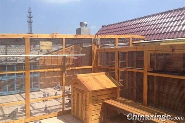 ...鸽子棚什么位置最好、选择位置有什么风水讲究吗？我家大门向西开口...