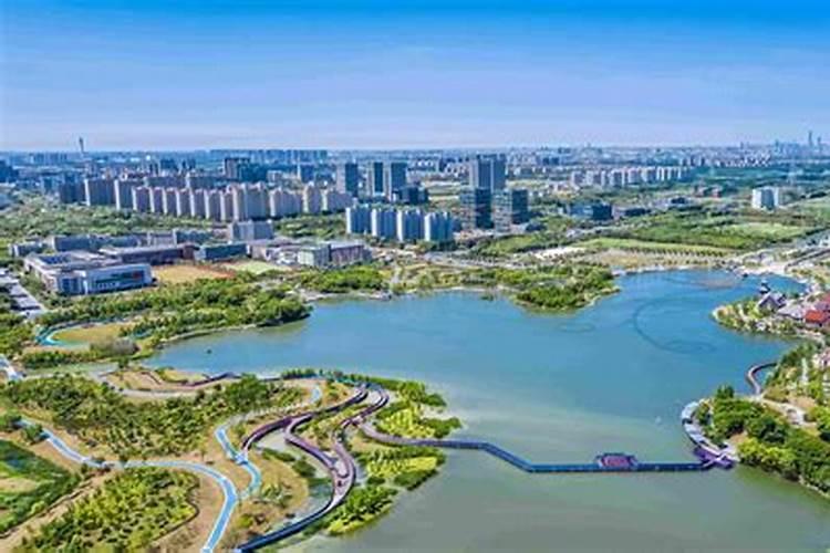 杨公是哪个省出生的人？