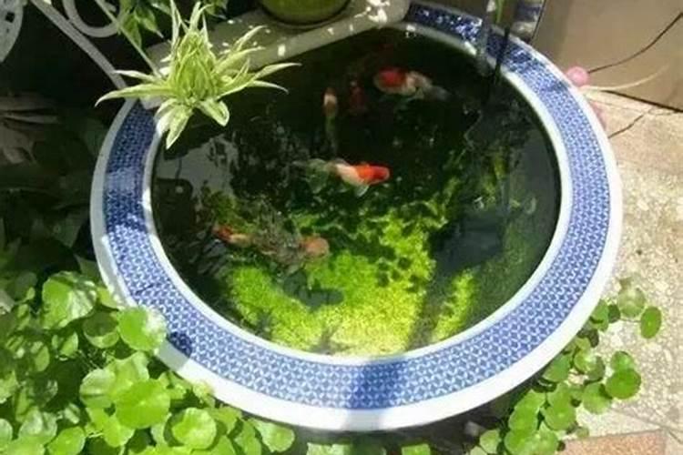 庭院水缸摆放讲究什么 庭院水缸摆放有什么讲究