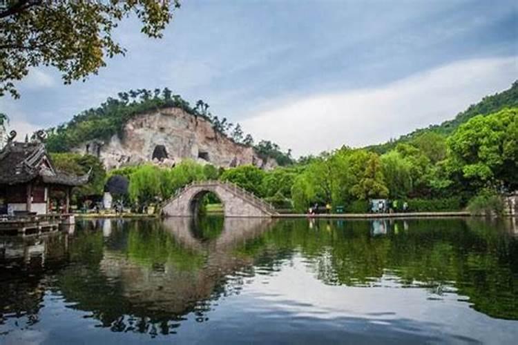 家里买什么盆栽植物,比较好养？