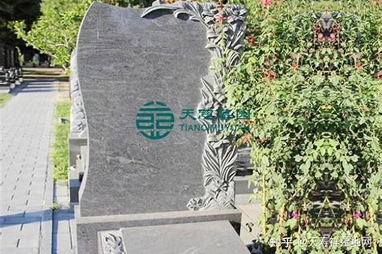 九运最好的坐向