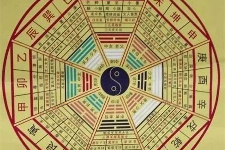 卧室窗台放什么花最好风水 卧室植物禁忌