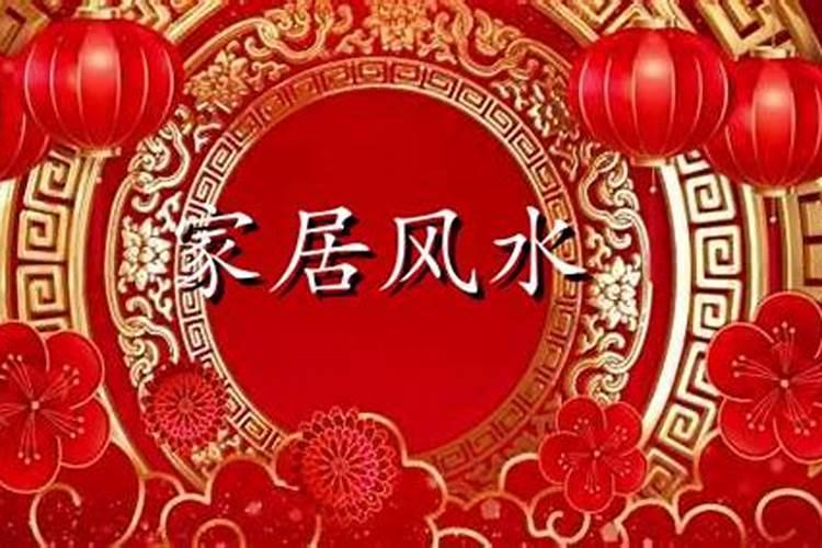 假山后面适合种什么树