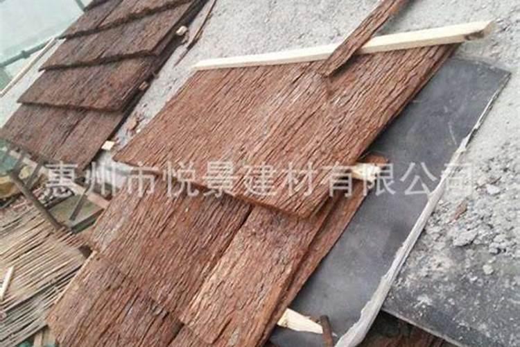 杉树放家里风水上有讲究吗？